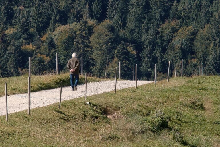 A person walking alone on a quiet park pathway through a meadow